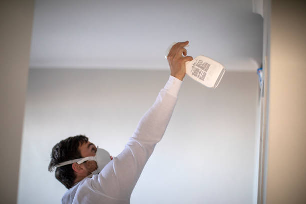 Best Emergency Mold Removal  in High Point, NC