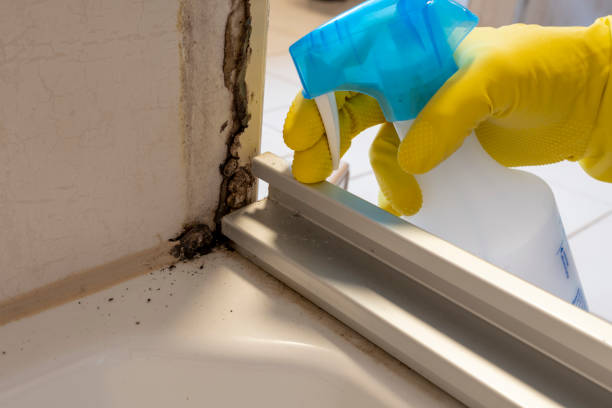 Water Damage Restoration in High Point, NC